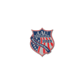 2025 AAU Wrestling Pin