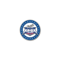 Hyundai Air & Sea Show Challenge Coin